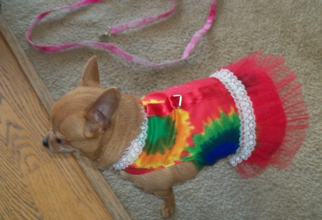 Color Splash Harness Dress Chihuahua Yorkie Small Dog