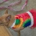 Color Splash Harness Dress Chihuahua Yorkie Small Dog