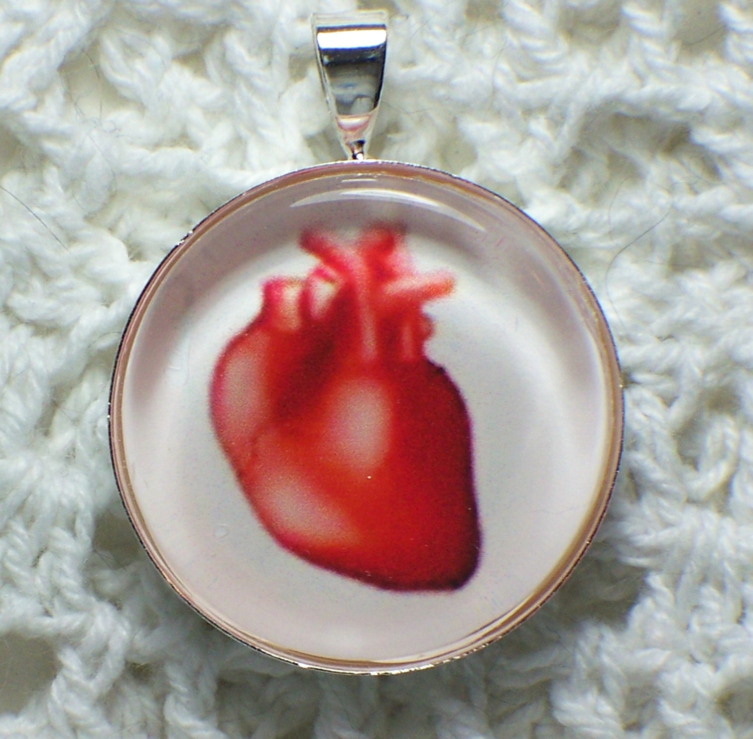 Anatomical Heart Glass Pendant Free shipping in US