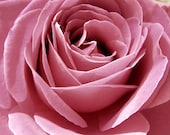 The Pink Rose - Photo Greeting Card - Flower Photography - Fine Art Photography Nature - Blank Card - Handmade - Love Notecard