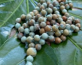 Peruvian Blue/Green Opal Hand Knotted Japa Mala Prayer Beads