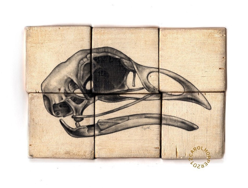 Ornithology - Pencil on Wood - Rough Hewn Series