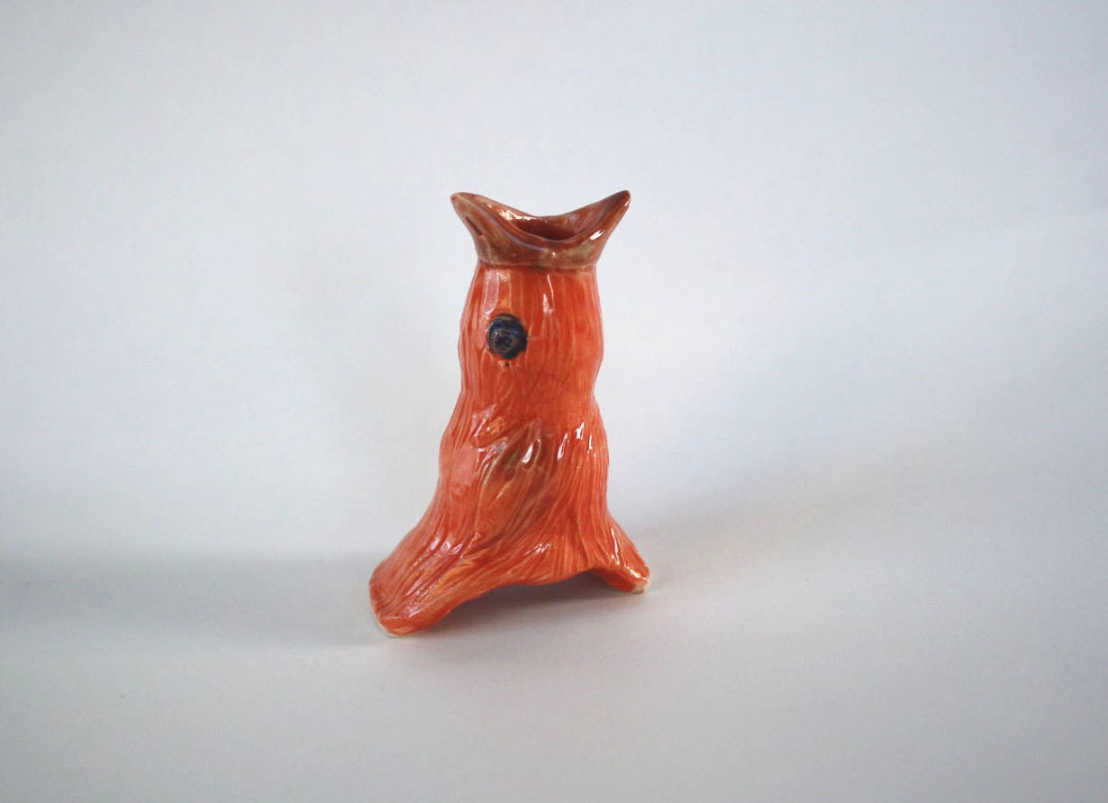 Orange  Pie Bird