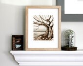 tree art neutral landscape woodland small art print
