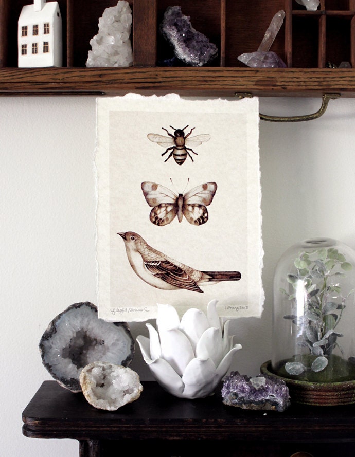 Flight Series C - Parchment Print bee art butterfly bird neutral fine art print
