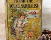 Pickers Sale. Vintage Adventure Mens Book, 1890s, Frank the Young Naturalist - Ephemera, Cover Art, Display