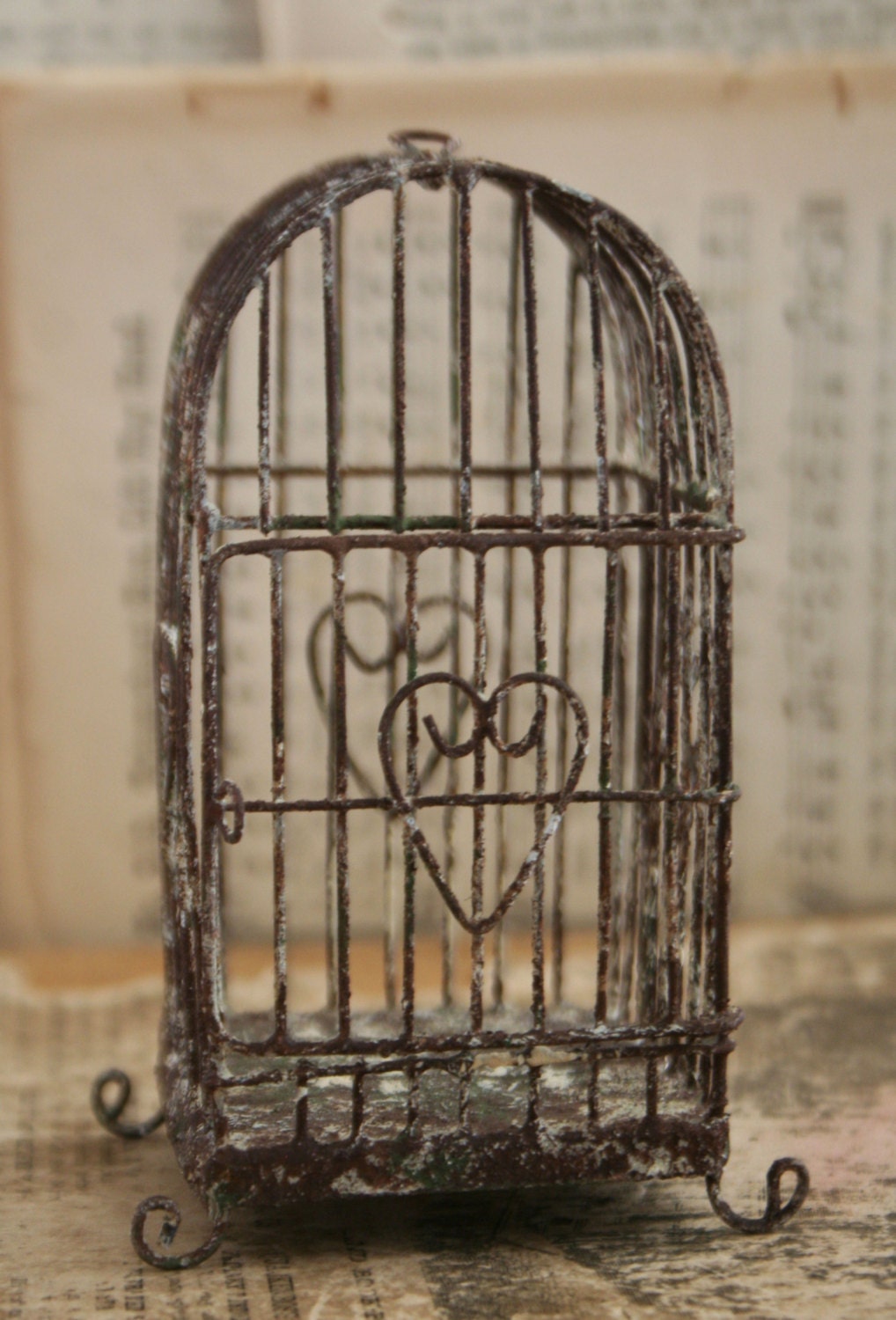 Arch Style Weathered Wire Bird Cage to Decorate