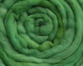200g Acid Dyed Falkland Wool Top - Asparagus
