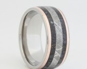 Dinosaur Bone ring Gibeon Meteorite ring and two 14K Rose Gold Inlays - Signature Series