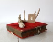 Antique Victorian photo album. Red velvet / wood. 1800s empty book. Reuse / repurpose / scrapbook. Steampunk Victorian home decor.