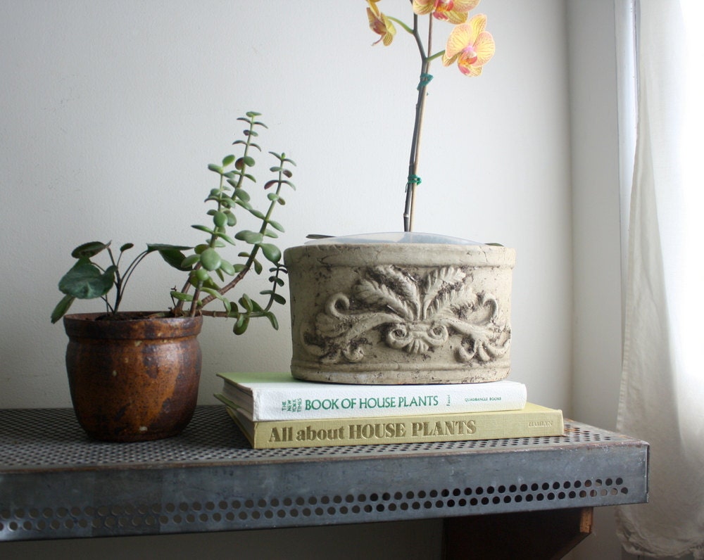 Set of Two Vintage Houseplants Books