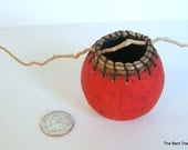 Miniature Red Gourd Embellished  with Daylily Leaves and  Driftwood
