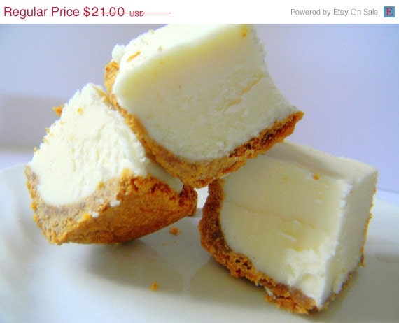 SALE Julie's Fudge - Pure CHEESECAKE With Graham Cracker Crust - 12 PIECES (over 1 pound)