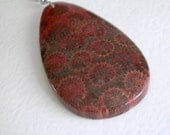 Cinnamon Red Fossilized Coral Necklace, Genuine Fossil Pendant, Science Jewelry