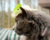 Hat for Cat - Easter Bonnet - Lime Green Flower