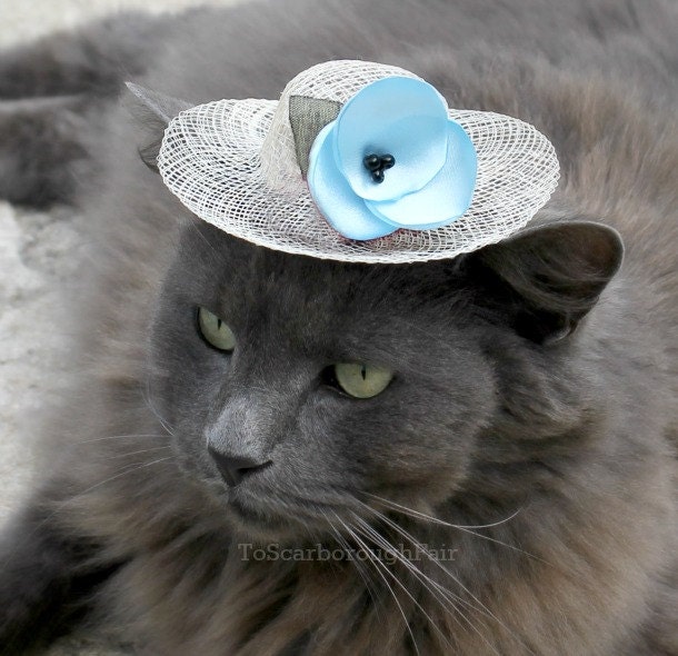 Hat for Cat - Easter Bonnet - Serenity Blue Flower