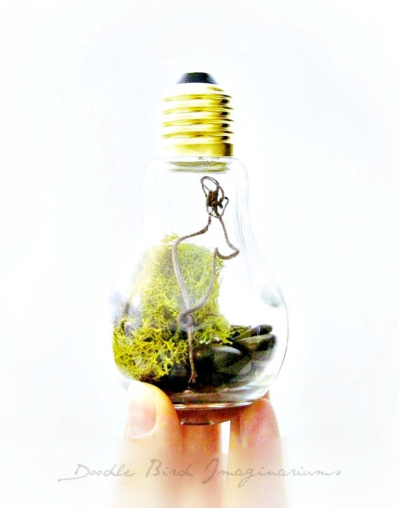 Light Bulb Terrarium Planter Terrarium Chartreuse Lichen & Moss - DIY Terrarium Kit
