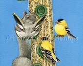 Squirrel Incognito - 11x14 archival watercolor print by Tracy Lizotte