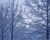 Extra Frosty 4x6 Metallic Print