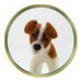 Needle Felted Dog Jack Russell Terrier Wool Sculpture