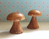Two Little Mushrooms