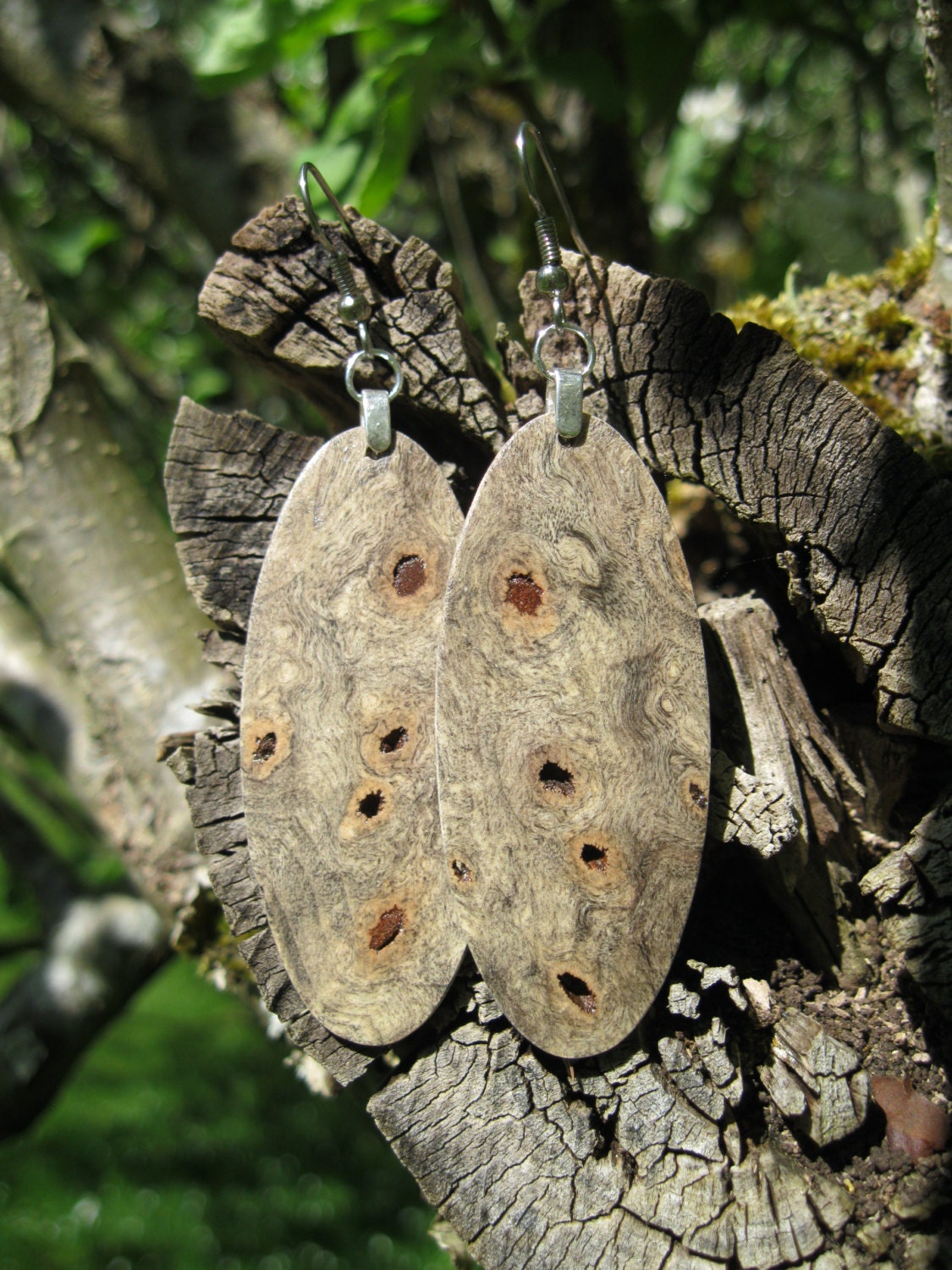 Swirly Burl Reclaimed Buckeye Wood Burl Earrings