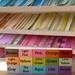 Bird Art Display Clips - Your Color Choice - eco-friendly by Maple Shade Kids