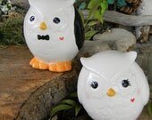 Custom Owl Bride and Groom  Ceramic Wedding Cake Topper   Bird Lovers ...Owlet Hooter  Mr Mrs Hootie