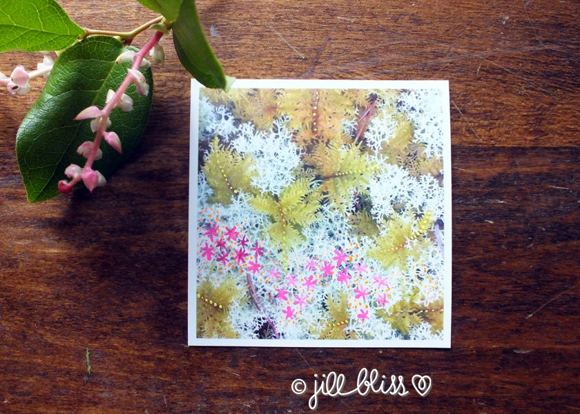 Reindeer Stars, 4"x4" original mixed media artwork on paper