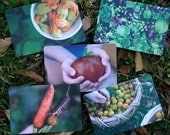 thrive - a set of 10 postcards with envelopes - 5 prints - suburban gardening - eco