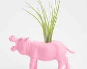 Air Plant Hippo Planter Room Decor, College Dorm Ornament , Pink Geekery