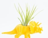Small Dinosaur Planter with Air Plant, Yellow Animal Planter, College Dorm Ornament Plants and Edibles
