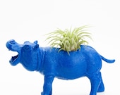 Air Plant Hippo Planter Room Decor, College Dorm Ornament , Geekery, Royal Blue Plant Pot