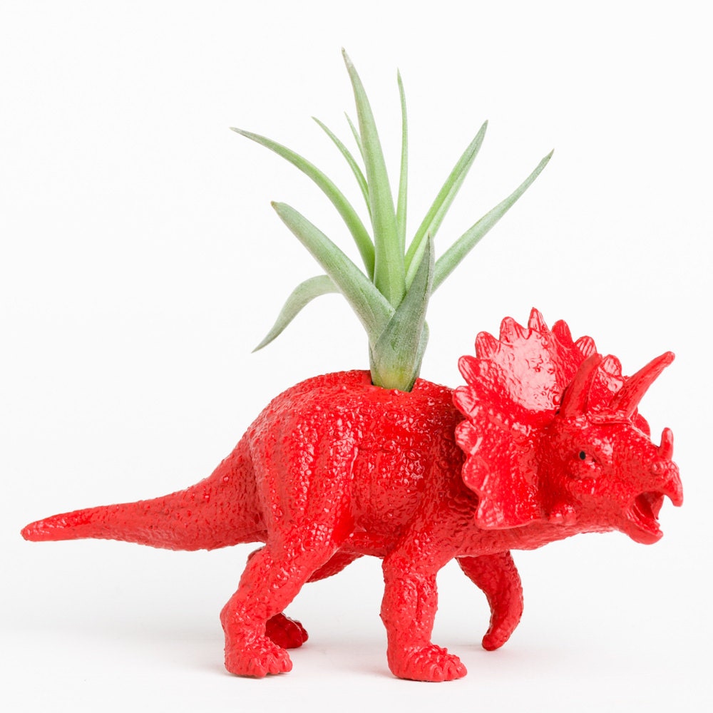 Small Dinosaur Planter with Air Plant Room Decor, College Dorm, Red, Black, Plants and Edibles