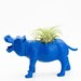 Air Plant Hippo Planter Room Decor, Safari Animal, College Dorm Ornament , Geekery, Royal Blue Plant Pot