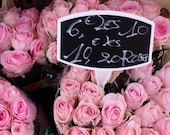 Paris Photography - Pink Paris Roses for Sale -  8x10 fine art photograph - flower decor - paris pink print