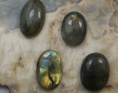 4  Labradorite Cabochons - oval labradorite cabs - lot of four - gray with blue gold fire - gemstone coyoterainbow