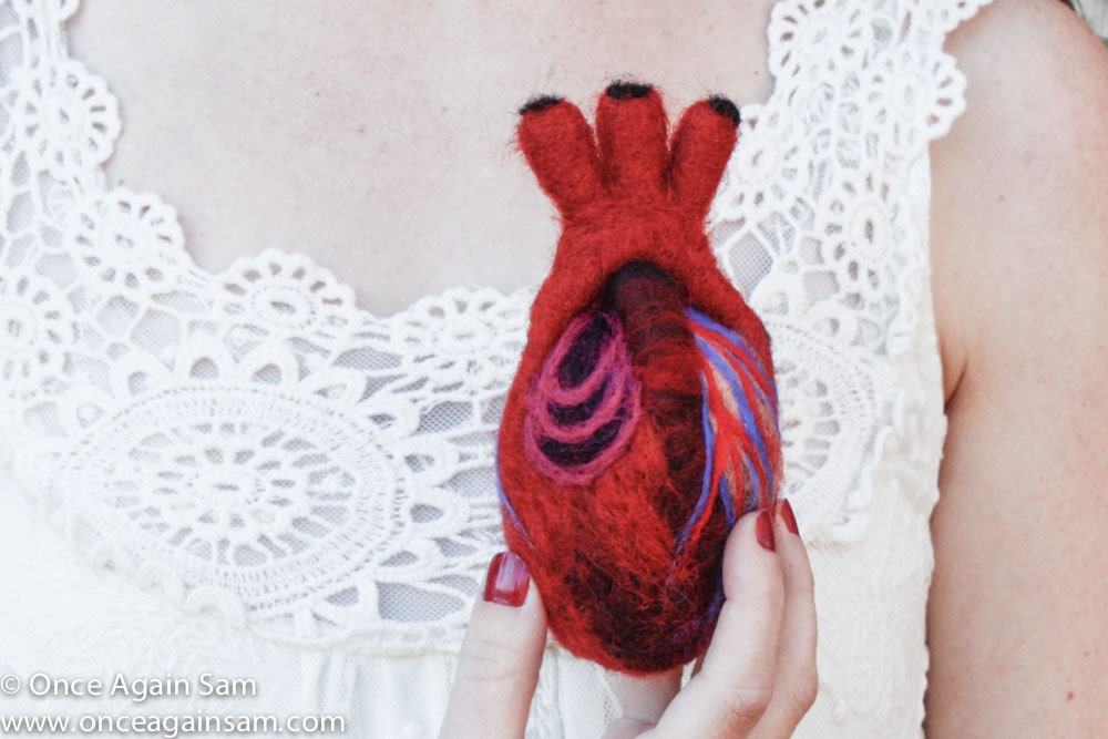 HeartFelt (Anatomical Heart - Human Scale)