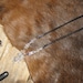 FREE SHIPPING in USA Clear Crystal Cluster Necklace on Black Cord