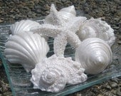 Decorative White Seashell Soap -  Beach House - Hostess Gift