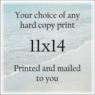 Photography / Fine art print 11x14 You choose