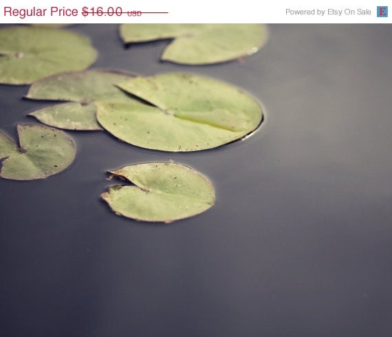 SALE Nature Decor Photograph - lily pads plant water blue sage green grey silver macro nature dreamy romantic 5x7 - AmeliaKayPhotography