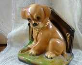 adorable puppy bookend