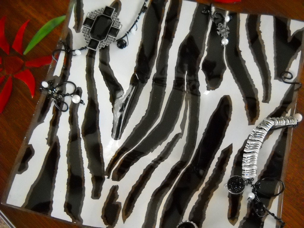 ZeBrA SqUaRe DiSh
