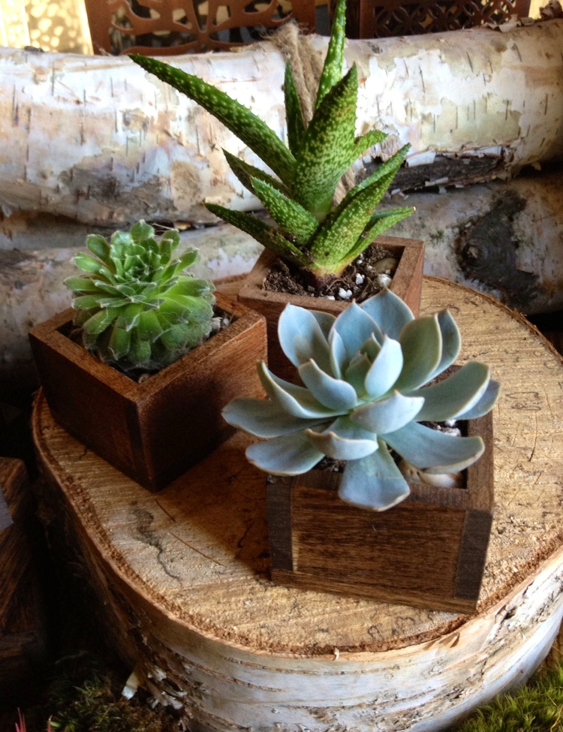 Custom listing (SET OF 3)