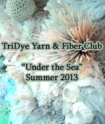 TriDye Yarn and Fiber Club - 3 Month Subscription