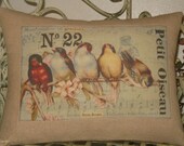 French Bird Throw Pillow Cover,  No 22 Petit Oiseau Rainbow of French Birds
