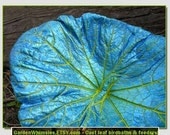 Cast leaf sculpture/birdbath/feeder from a set of gourd leaves (leaf no. 1473) - stands above flowers, shrubs and in planters