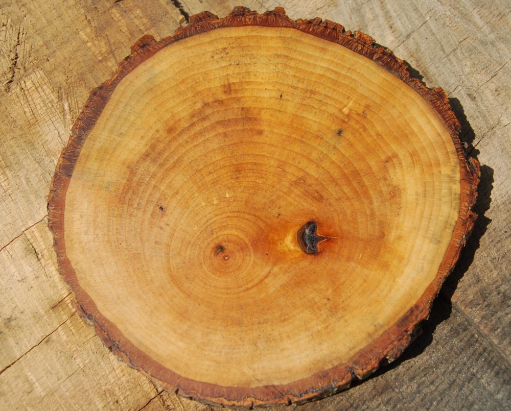 Wooden Trivet, Basswood