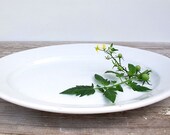 Antique Large White Ironstone Oval Platter - Mellor,Taylor and Company - 1880 - 1904